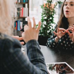 LANGUE DES SIGNES FRANCAISE Niveau A1 - cursus court