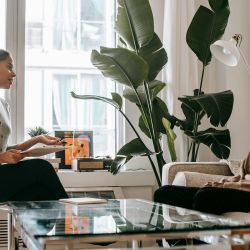 GESTION ET PRÉVENTION DU STRESS PAR LA PLEINE CONSCIENCE Niveau 1