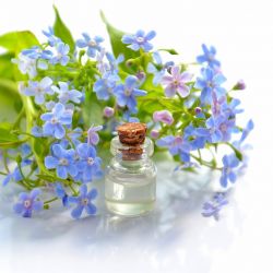 AROMATHÉRAPIE SCIENTIFIQUE